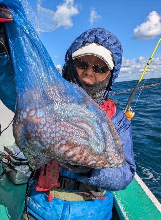 【釣果速報】茨城県長岡丸でヒラメ・マダコがテンポ良く上がる！船長がこれから乗船する人にアドバイスを伝授！爆釣したい方は必見！