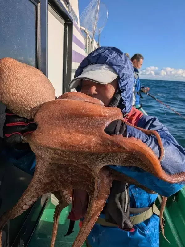 「【釣果速報】茨城県長岡丸でヒラメ・マダコがテンポ良く上がる！船長がこれから乗船する人にアドバイスを伝授！爆釣したい方は必見！」の画像