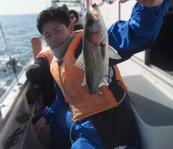 【釣果速報】神奈川県長崎屋でシーバス全員GET！66cmの良型バスも確保で船上は大盛りあがり！ランカーバスゲットも夢じゃない！