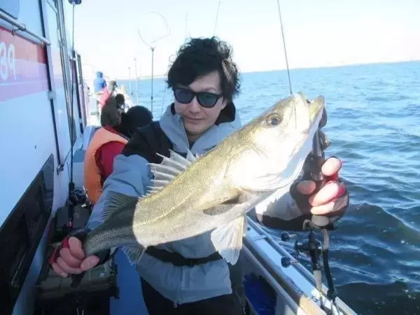 「【釣果速報】神奈川県長崎屋でシーバス全員GET！66cmの良型バスも確保で船上は大盛りあがり！ランカーバスゲットも夢じゃない！」の画像