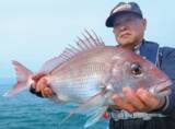 「浅ダナでマダイラッシュ！新潟県上越で乗っ込み突入」の画像3