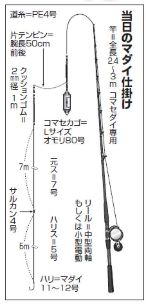 浅ダナでマダイラッシュ！新潟県上越で乗っ込み突入