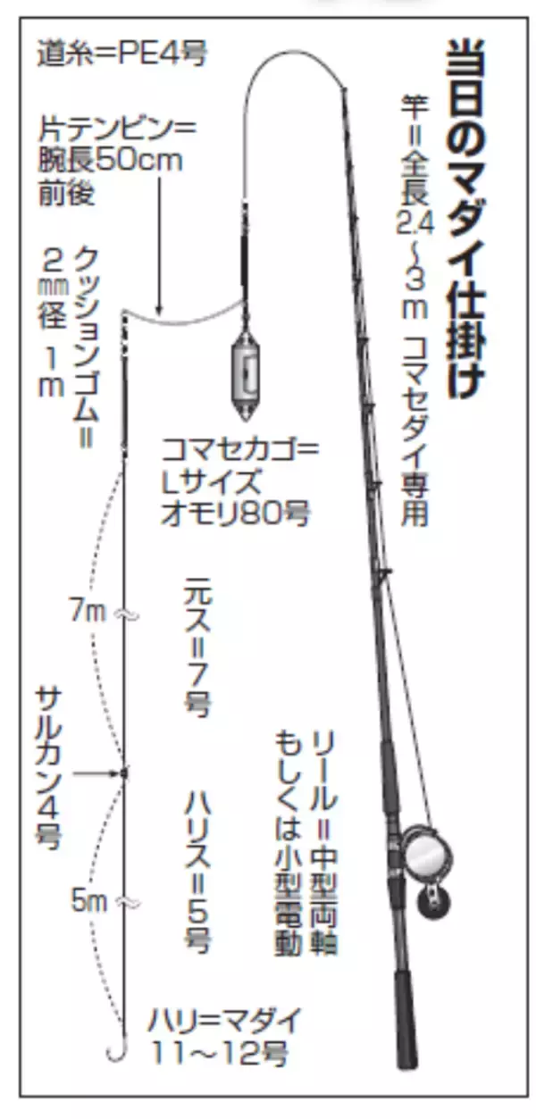 「浅ダナでマダイラッシュ！新潟県上越で乗っ込み突入」の画像