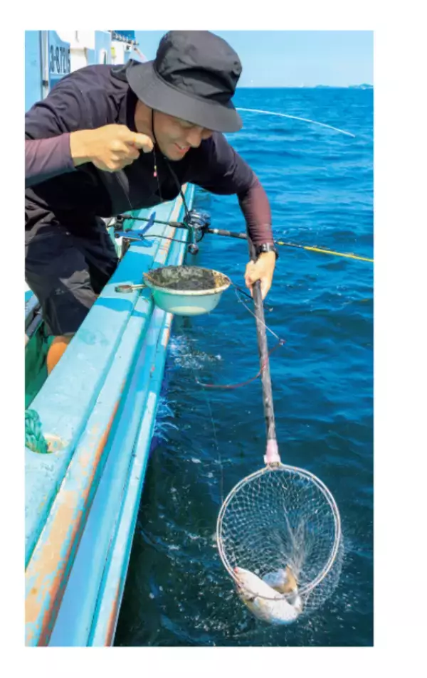 評判どおり大型ぞろい！金谷名物・黄金アジ上昇気配