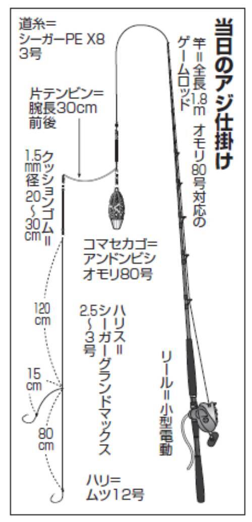 評判どおり大型ぞろい！金谷名物・黄金アジ上昇気配