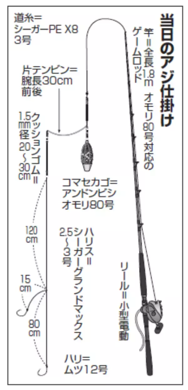 「評判どおり大型ぞろい！金谷名物・黄金アジ上昇気配」の画像
