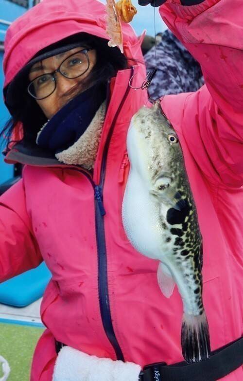 Ｘデーへのカウントダウン　東京湾のトラフグ拡大中！