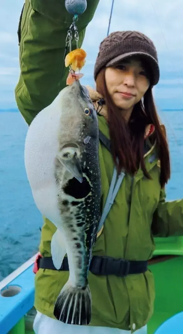 「Ｘデーへのカウントダウン　東京湾のトラフグ拡大中！」の画像