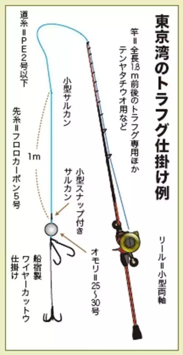 「Ｘデーへのカウントダウン　東京湾のトラフグ拡大中！」の画像