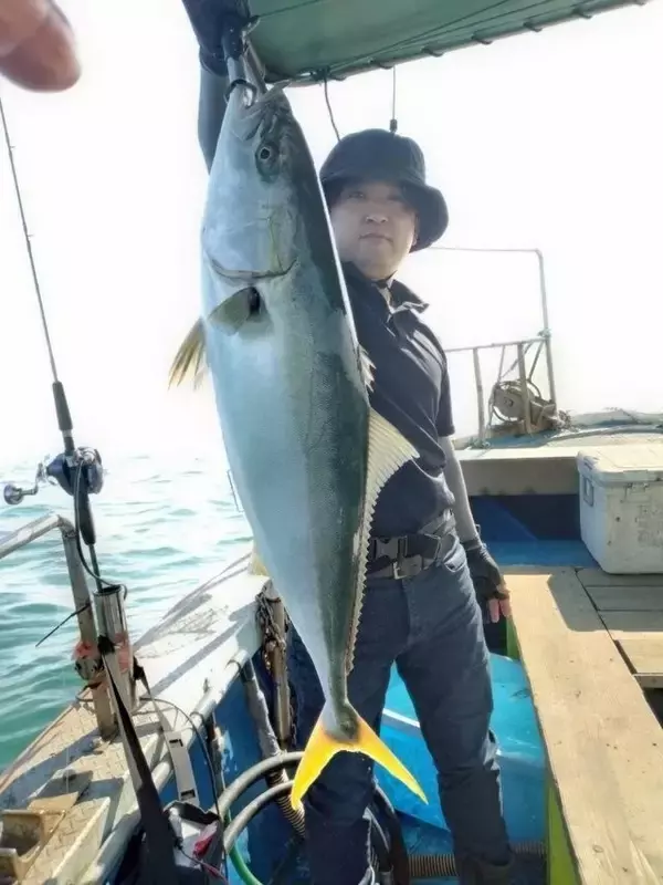 「【釣果速報】兵庫県海蓮丸でアオリイカ合計40匹ゲット！実績“お墨付き”の船で高級イカをゲットしよう！」の画像
