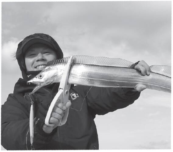 冬のおいしいお楽しみ　東京湾のタチウオジギング