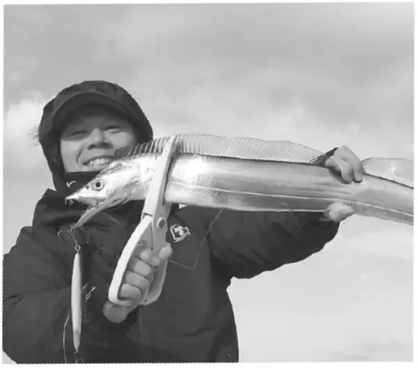 「冬のおいしいお楽しみ　東京湾のタチウオジギング」の画像