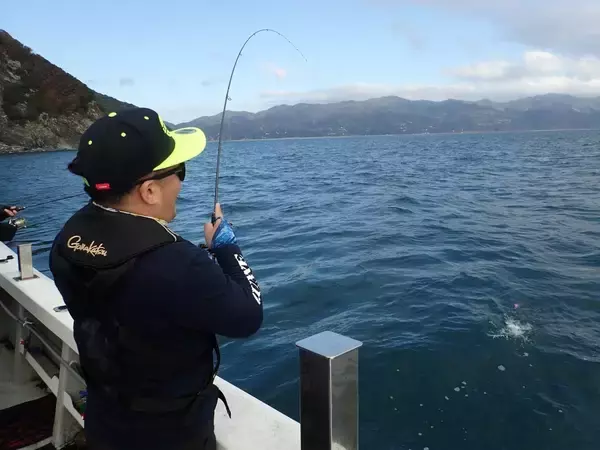 「超高感度と高い操作性能でアオリイカを狙い撃ち。 兵庫・沼島のティップランでショートレングスタイプ「ラグゼ・EGTR・ＸアルティメイトS510ML＋-sorid」が威力を発揮」の画像