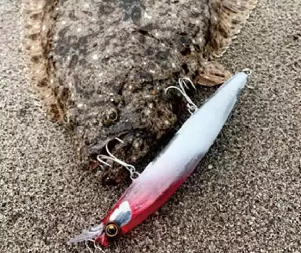 「【サーフゲーム】ヒラメを釣るのにどんなジグヘッドやルアーを使えばいいの？」の画像