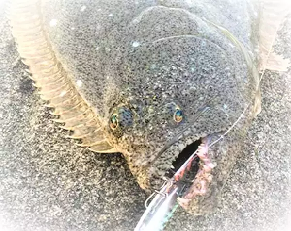 「【サーフゲーム】ヒラメを釣るのにどんなジグヘッドやルアーを使えばいいの？」の画像