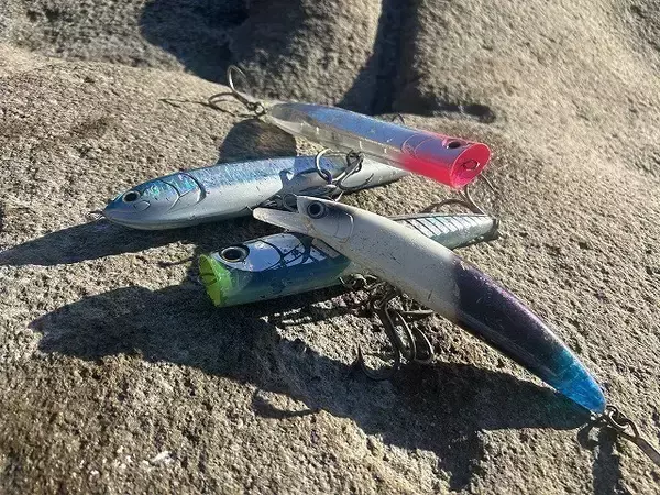 「冬の五島列島、ヒラスズキ遠征記」の画像