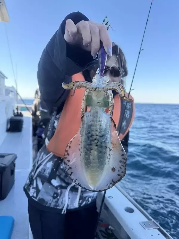 「【釣果速報】千葉県赤沼丸でアオリイカGET！！数人同時ヒットもあり！イカの機嫌が良い今がGETのチャンス！」の画像