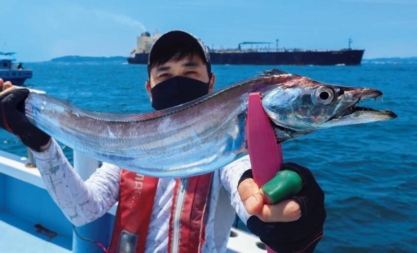 東京湾の夏タチ盛況！ムズ面白い展開に沼る