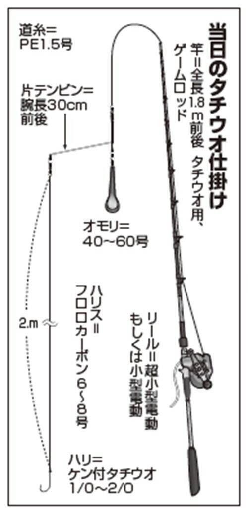 東京湾の夏タチ盛況！ムズ面白い展開に沼る