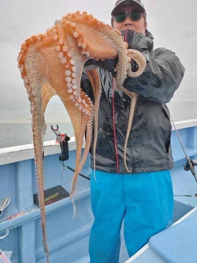 【釣果速報】茨城県幸栄丸でマダコ好調！最大3.70kg！ぜひ乗船予約を！