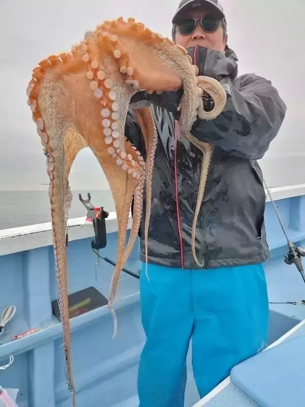 「【釣果速報】茨城県幸栄丸でマダコ好調！最大3.70kg！ぜひ乗船予約を！」の画像