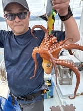 【釣果速報】兵庫県こうじん丸でマダコのヒット連発！トップ16匹でクーラーボックス満タン！存分にファイトを楽しめる今が乗船どき！