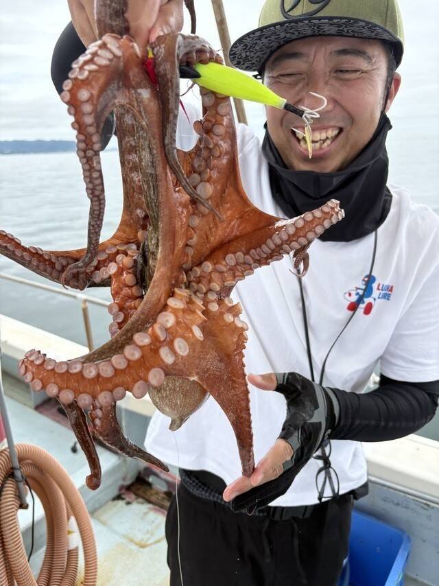 【釣果速報】兵庫県こうじん丸でマダコのヒット連発！トップ16匹でクーラーボックス満タン！存分にファイトを楽しめる今が乗船どき！