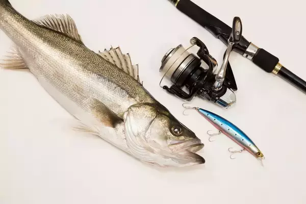 「釣れるシーバスロッドBEST10！最初の1本を選ぶときの疑問を解決しよう！」の画像