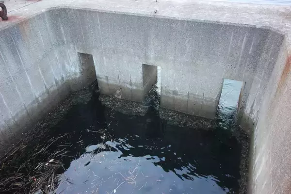 「防波堤の格闘技「へちコブダイゲーム」入門。意外な身近な場所に潜むピンクモンスターを捕獲せよ！」の画像