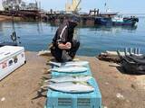 「【釣果速報】兵庫県魚英で94cmブリ上がる！明石の海のモンスターと勝負したいなら今すぐ予約を！」の画像1