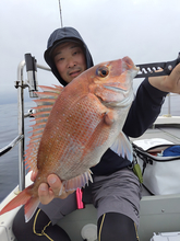 【釣果速報】マダイ・チャリコ・ハナダイなどオールスター集う！人気魚種をバラエティ豊かに釣りたいなら福島県ジガーズに乗船だ！