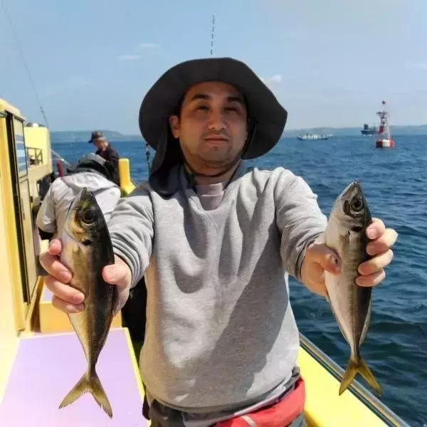 【釣果速報】東京都船宿豆やでアジが絶好調！20匹超え多数！今後の釣行も期待大！