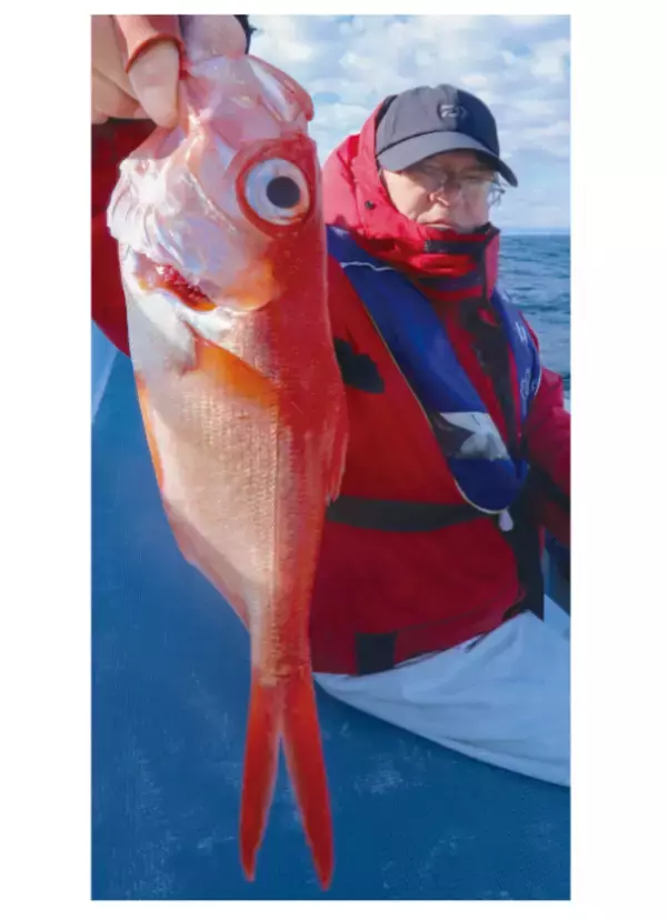 フルレンタルで楽しめる城ヶ島沖のキンメダイ