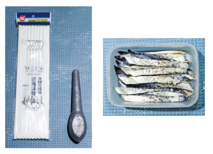 フルレンタルで楽しめる城ヶ島沖のキンメダイ