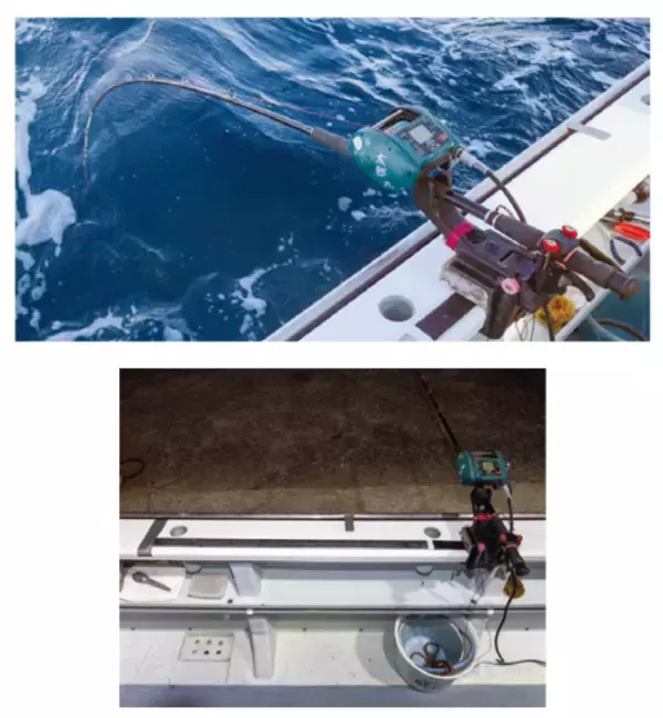 「フルレンタルで楽しめる城ヶ島沖のキンメダイ」の画像