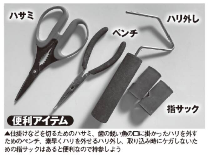 フルレンタルで楽しめる城ヶ島沖のキンメダイ