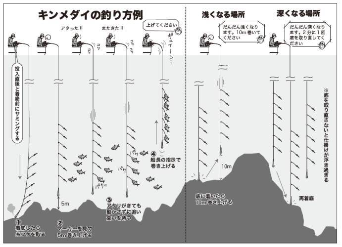 フルレンタルで楽しめる城ヶ島沖のキンメダイ