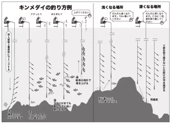 「フルレンタルで楽しめる城ヶ島沖のキンメダイ」の画像