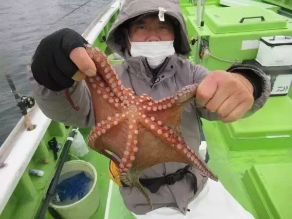 【釣果速報】神奈川県長崎屋でマダコ全員ゲット達成！年末はタコ釣行に挑戦しませんか？