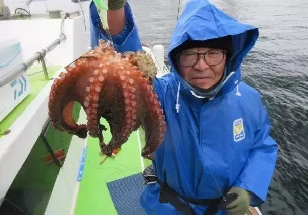 「【釣果速報】神奈川県長崎屋でマダコ全員ゲット達成！年末はタコ釣行に挑戦しませんか？」の画像