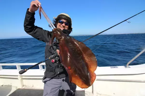 「これぞ中村勇生流「聞き誘い」の威力。三重・志摩沖のティップランで、渋い中でもアオリイカ２kg超キャッチ」の画像