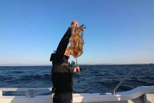 「これぞ中村勇生流「聞き誘い」の威力。三重・志摩沖のティップランで、渋い中でもアオリイカ２kg超キャッチ」の画像
