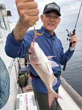 【釣果速報】福岡県木鶏丸でマダイ絶好調！トップ12匹！初心者アングラーもお土産どっさりの釣行になりますよ！