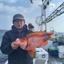 【2026年2月最新】福岡・宗像神湊の「明石丸」で多魚種攻略！今行くべき釣り理由5選