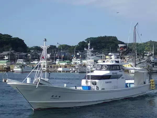 「【2026年2月最新】福岡・宗像神湊の「明石丸」で多魚種攻略！今行くべき釣り理由5選」の画像