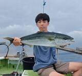 「【釣果速報】神奈川県愛正丸で6.50kgの巨大ワラサ釣れる！まるまる太ったアジもキャッチ！順調にサイズアップしている青物をキャッチしに行こう！」の画像2