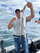 【釣果速報】兵庫県邦栄丸でタチウオ続々HIT！竿頭42匹！この勢いをぜひ現地で体感せよ！