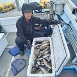 「【釣果速報】良型イサキがクーラーにぎっしり！福岡県明石丸で質も量も大満足の釣行を楽しもう！」の画像2