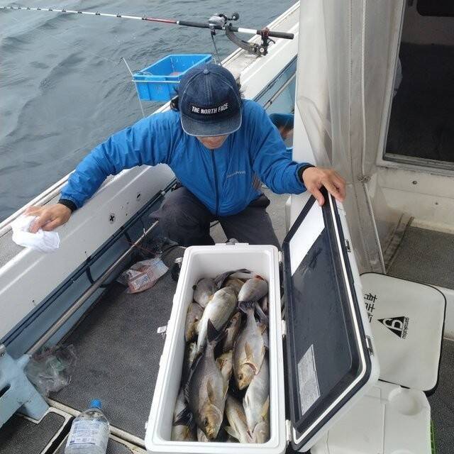 【釣果速報】良型イサキがクーラーにぎっしり！福岡県明石丸で質も量も大満足の釣行を楽しもう！