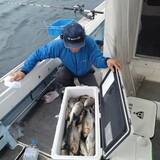 「【釣果速報】良型イサキがクーラーにぎっしり！福岡県明石丸で質も量も大満足の釣行を楽しもう！」の画像3